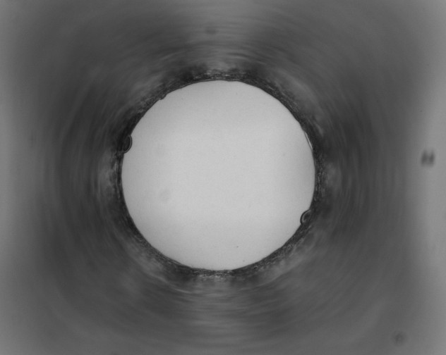 X0000101390914200807280934