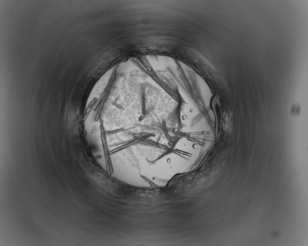 X0000101390915200807280934
