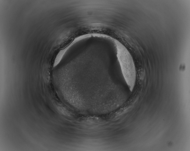 X0000101390916200807280934
