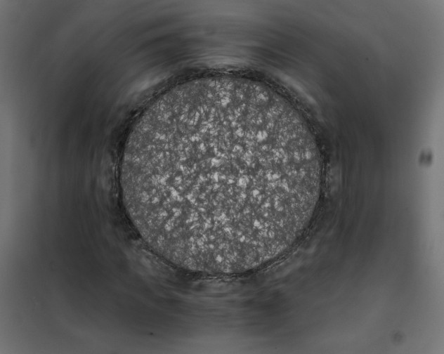 X0000101390917200807280934