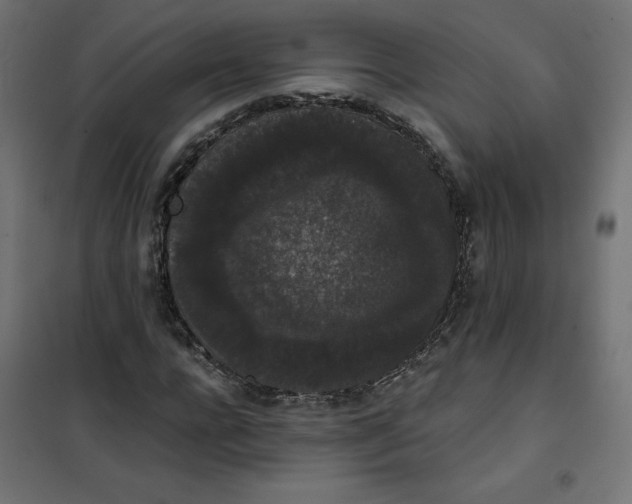 X0000101390920200807280934
