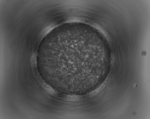 X0000101390921200807280934