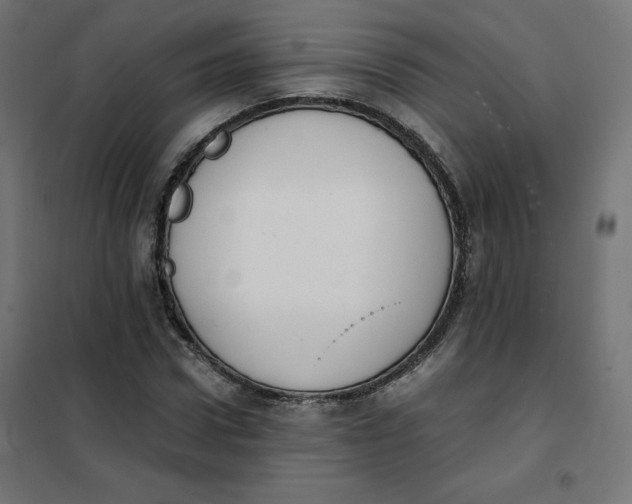 X0000101390922200807280934