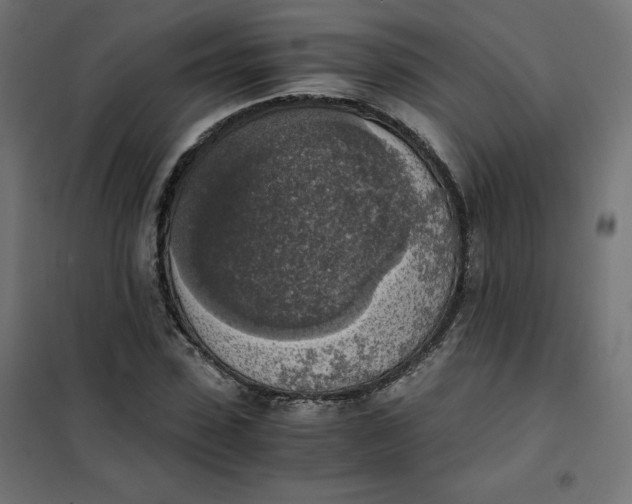 X0000101390923200807280934