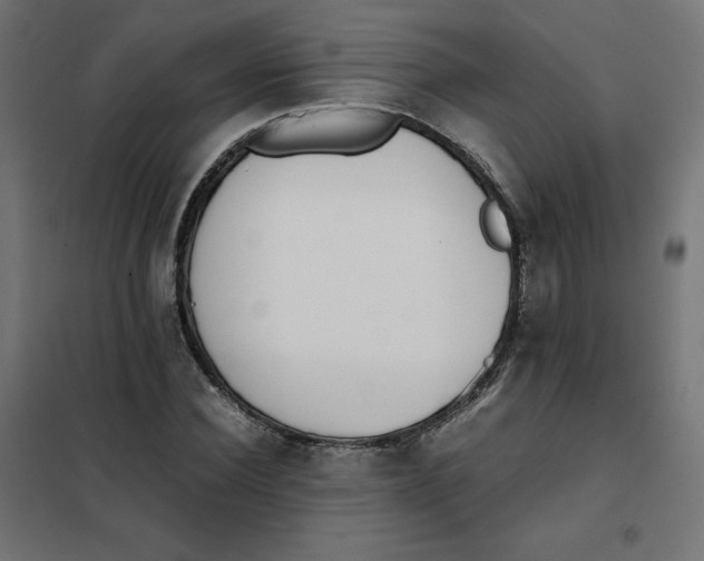 X0000101390924200807280934