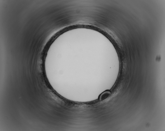 X0000101390926200807280934