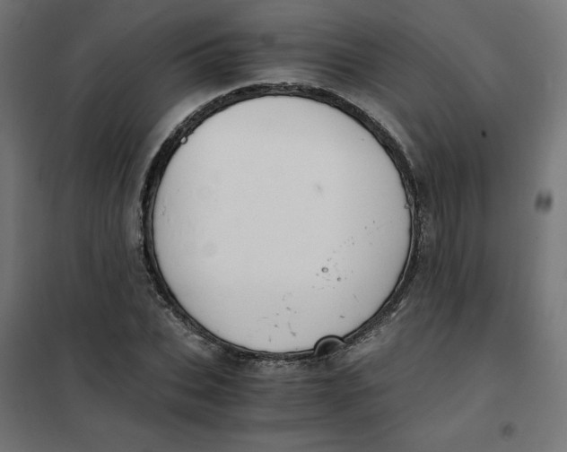 X0000101390927200807280934
