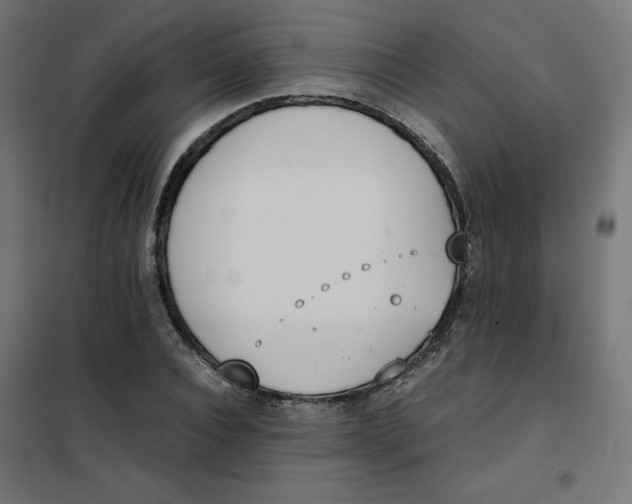 X0000101390928200807280934