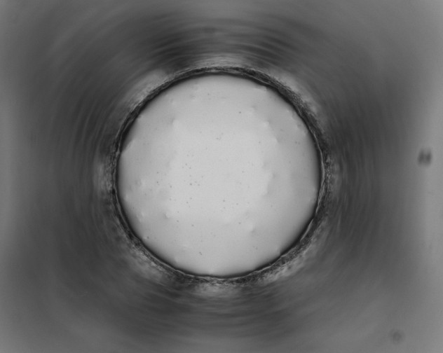 X0000101390929200807280934