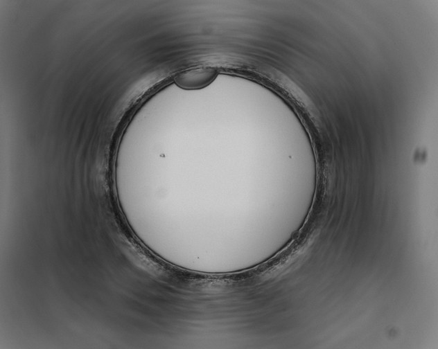 X0000101390930200807280934