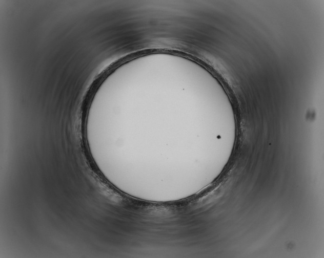 X0000101390931200807280934
