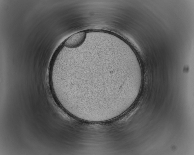 X0000101390932200807280934