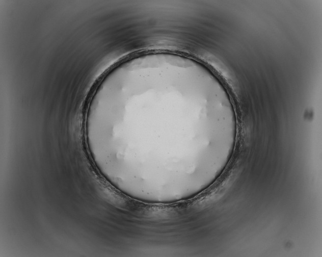 X0000101390933200807280934