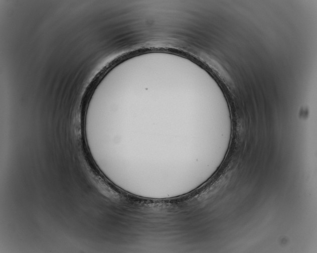 X0000101390934200807280934