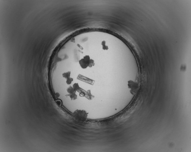 X0000101390935200807280934