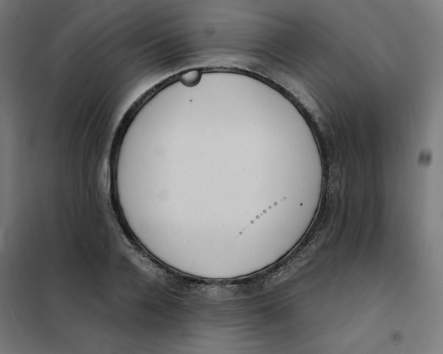 X0000101390936200807280934