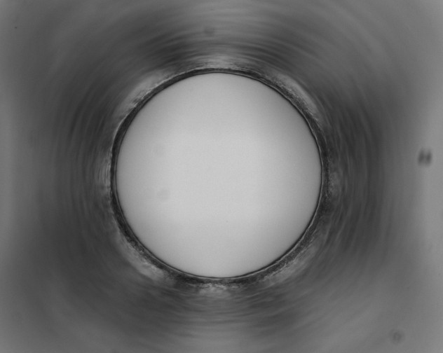 X0000101390938200807280934