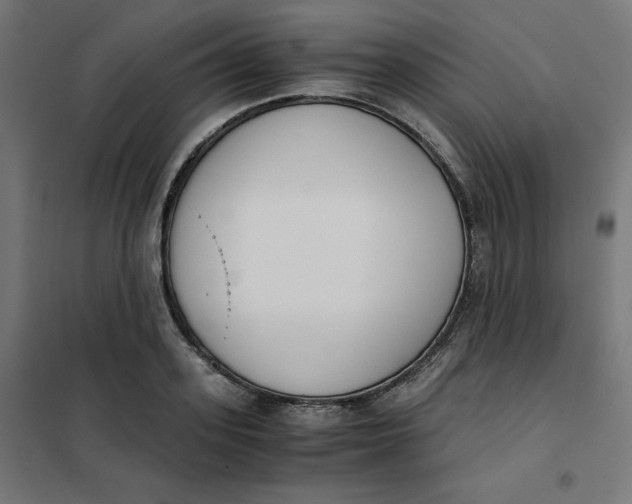 X0000101390939200807280934