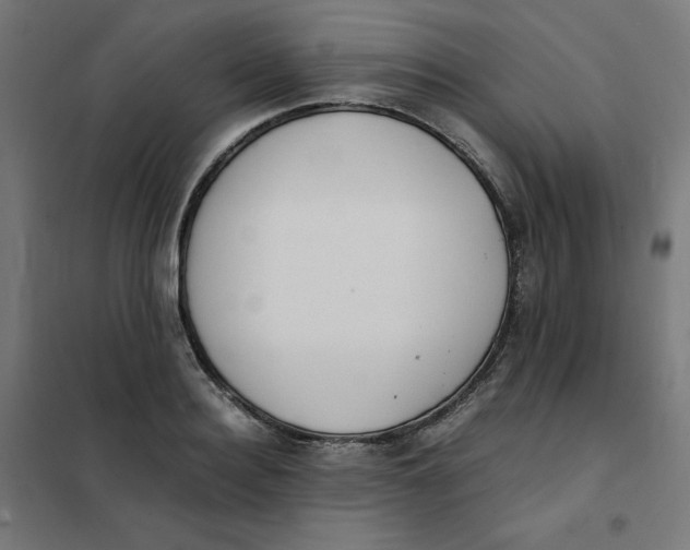 X0000101390940200807280934