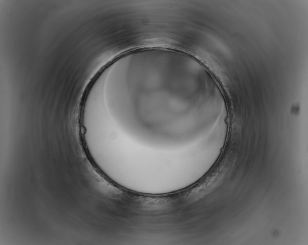 X0000101390941200807280934