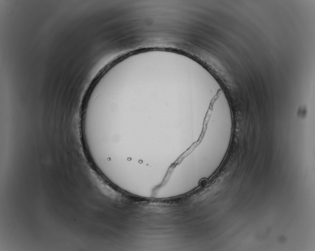 X0000101390942200807280934