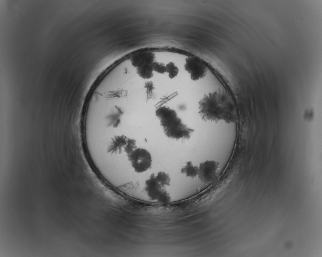 X0000101390943200807280934