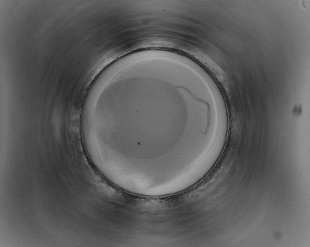 X0000101390945200807280934