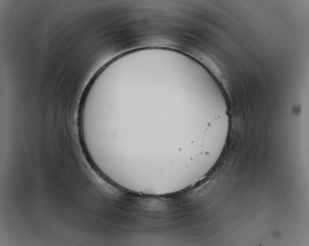 X0000101390947200807280934