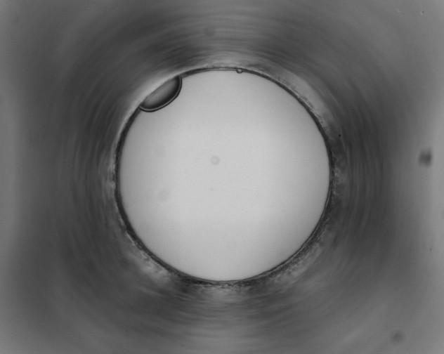 X0000101390948200807280934