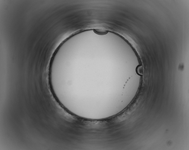 X0000101390949200807280934