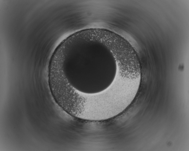 X0000101390950200807280934