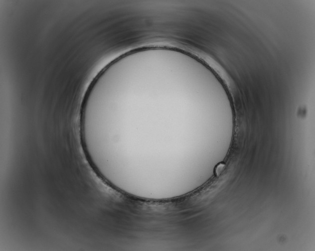 X0000101390951200807280934