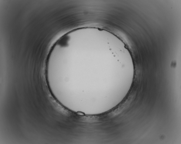 X0000101390952200807280934