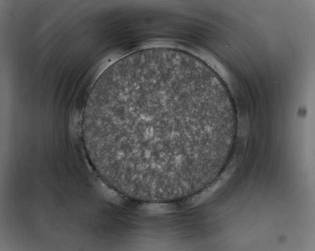 X0000101390953200807280934