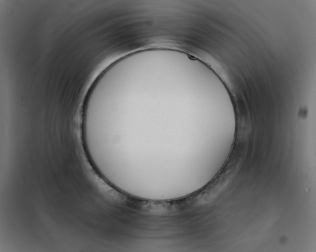 X0000101390955200807280934
