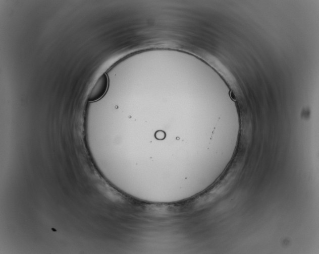 X0000101390956200807280934