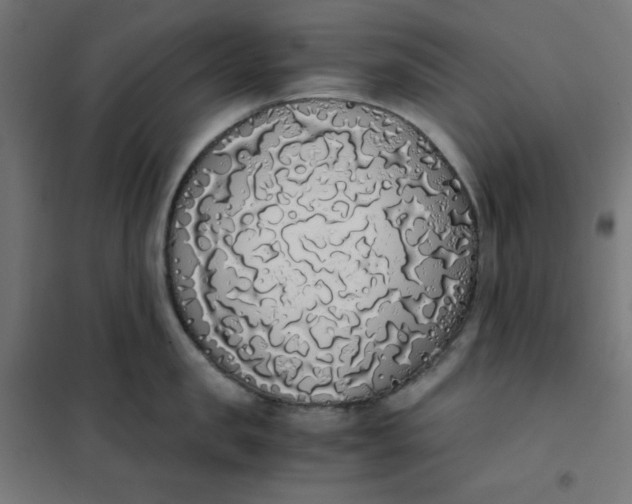 X0000101390957200807280934