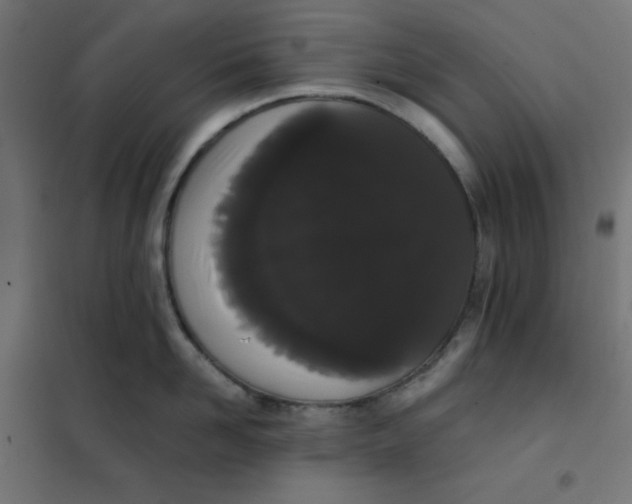 X0000101390958200807280934