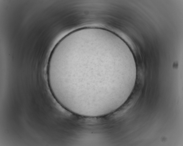 X0000101390959200807280935