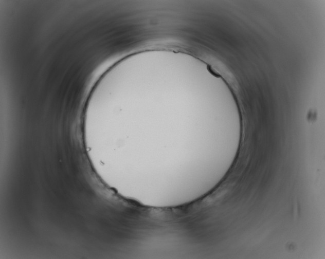 X0000101390960200807280935