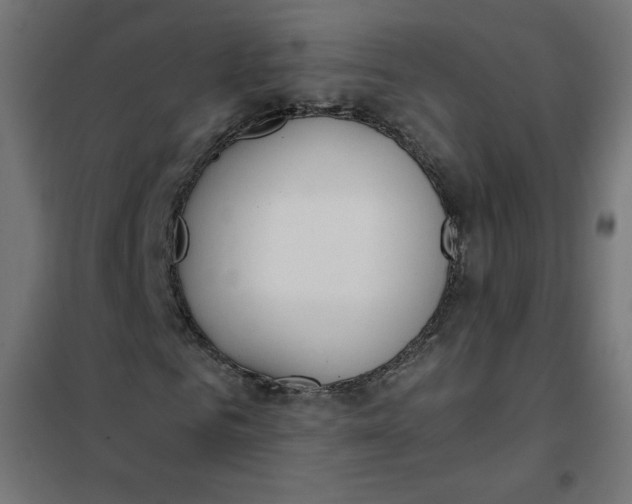 X0000101390961200807280934