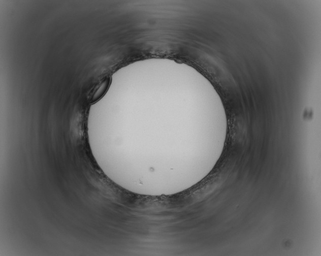 X0000101390962200807280934