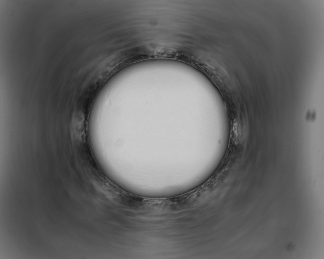 X0000101390963200807280934