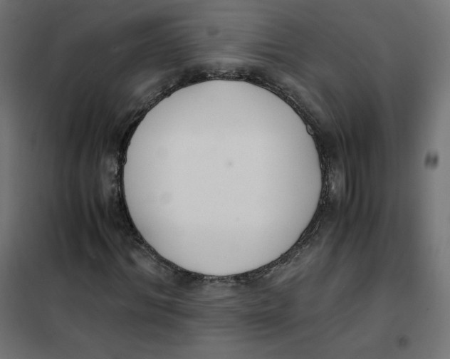 X0000101390964200807280934