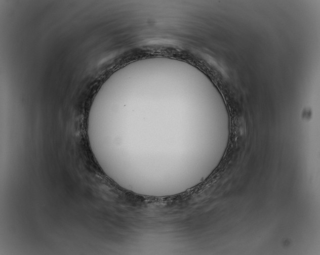 X0000101390965200807280934