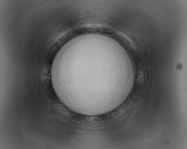 X0000101390966200807280934