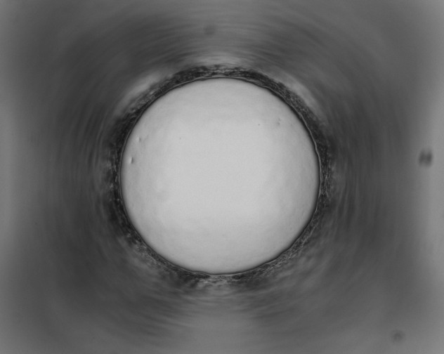 X0000101390967200807280934