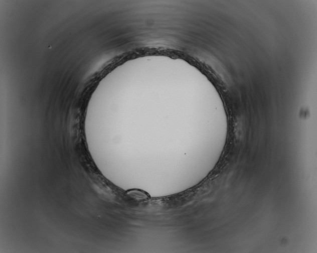 X0000101390968200807280934