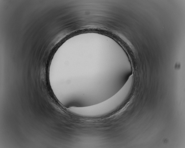 X0000101390969200807280934