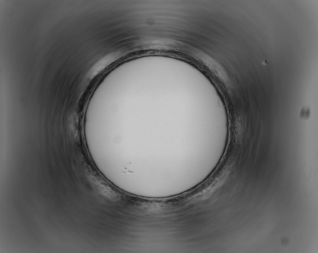 X0000101390970200807280934